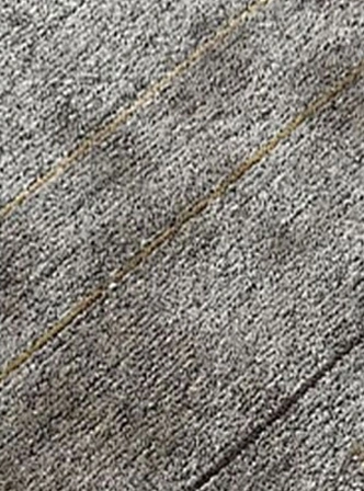 Before steam cleaning